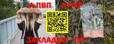 Альфа ПВП Ставрополь