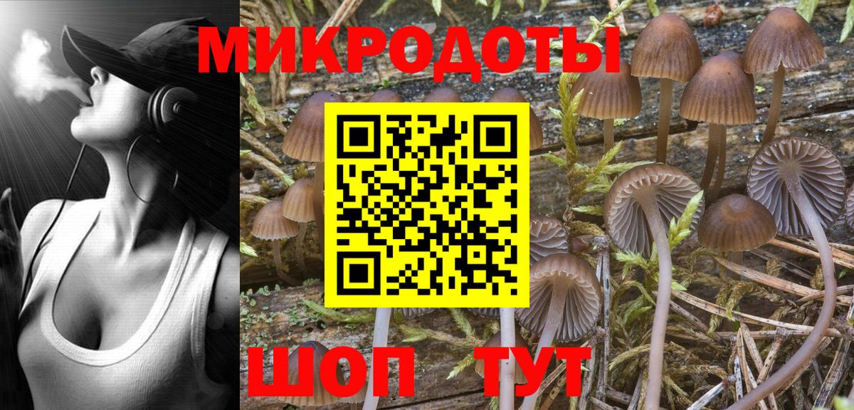 купить закладку  Галлюциногенные грибы Psilocybine cubensis  Галлюциногенные грибы ЛСД  Вход с VPN  Полевской 