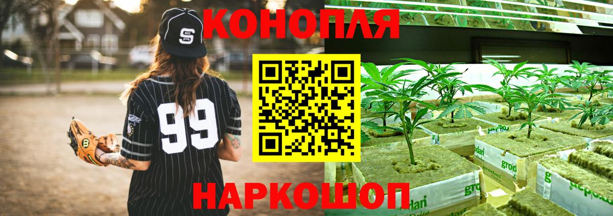 Конопля ГИДРОПОН Полевской